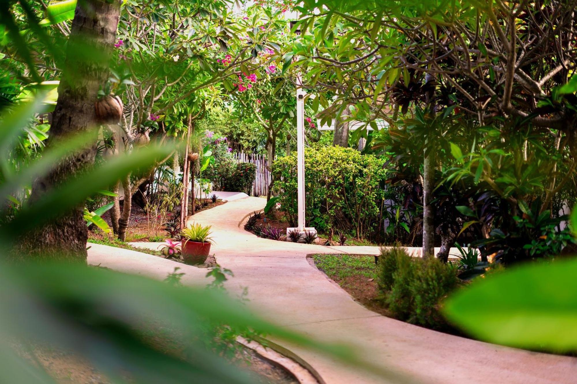 Orchid Lodge Samui - Bed & Breakfast Lamai Beach  Eksteriør bilde