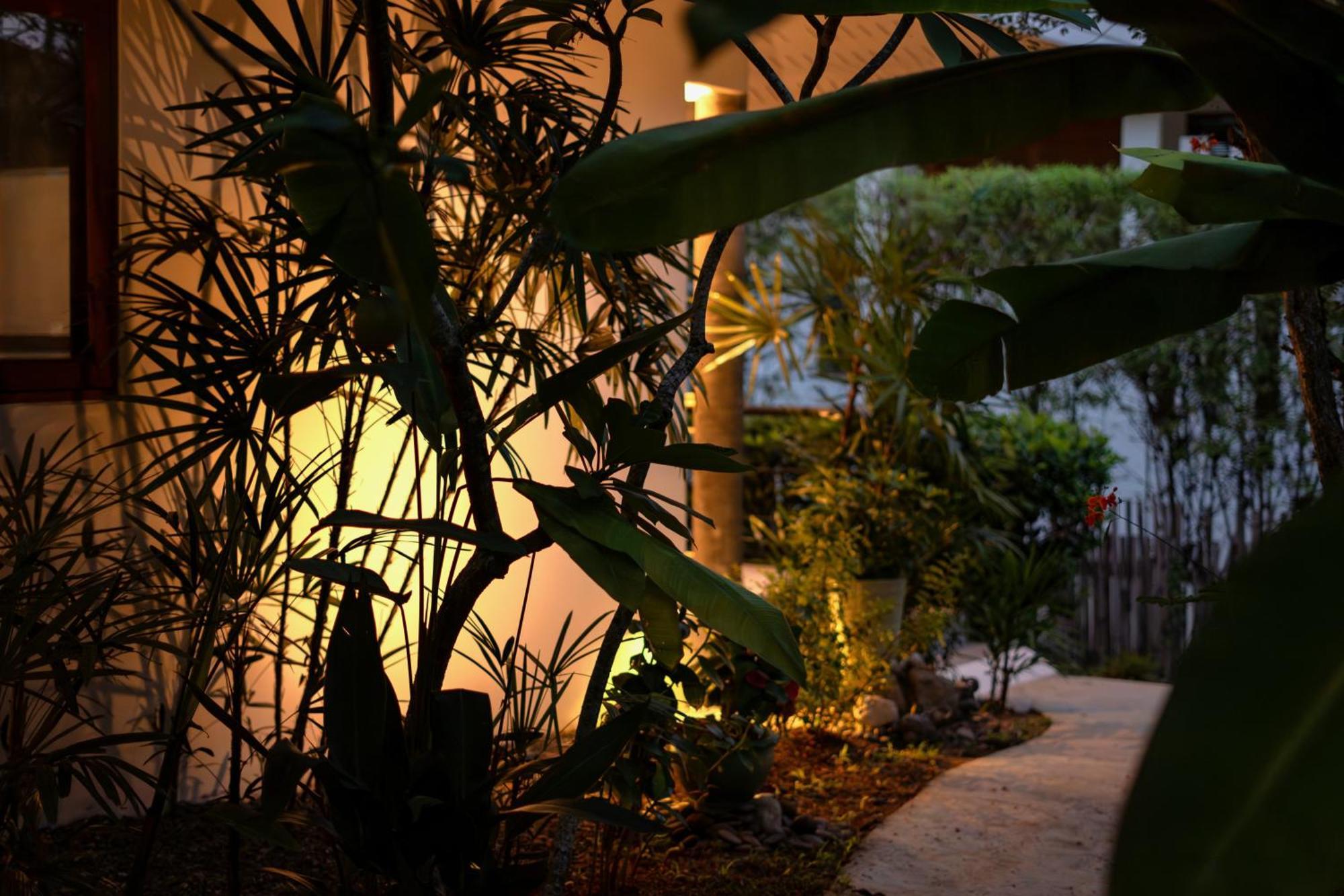 Orchid Lodge Samui - Bed & Breakfast Lamai Beach  Rom bilde